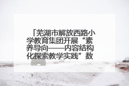 芜湖市解放西路小学教育集团开展“素养导向——内容结构化探索教学实践”数学专题研讨活动